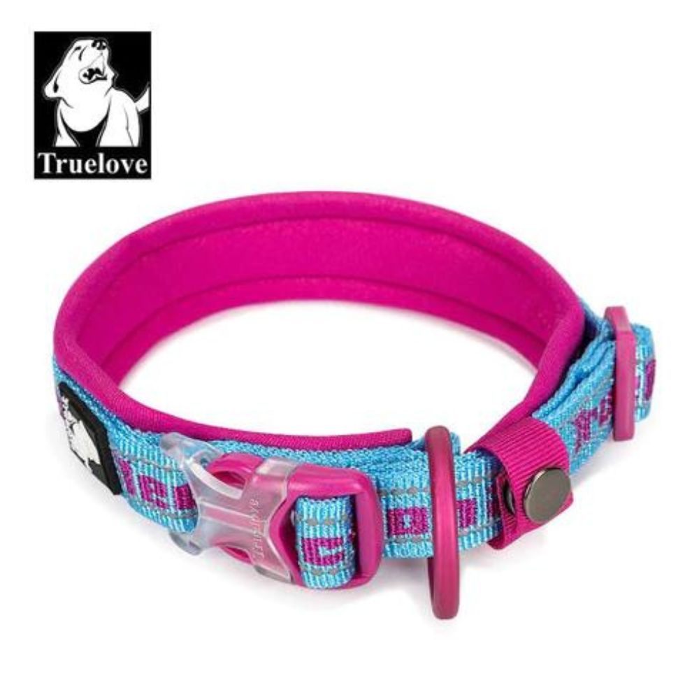 Personalised Dog Collar - Furberry Oatmeal – Dolor Sarcinas